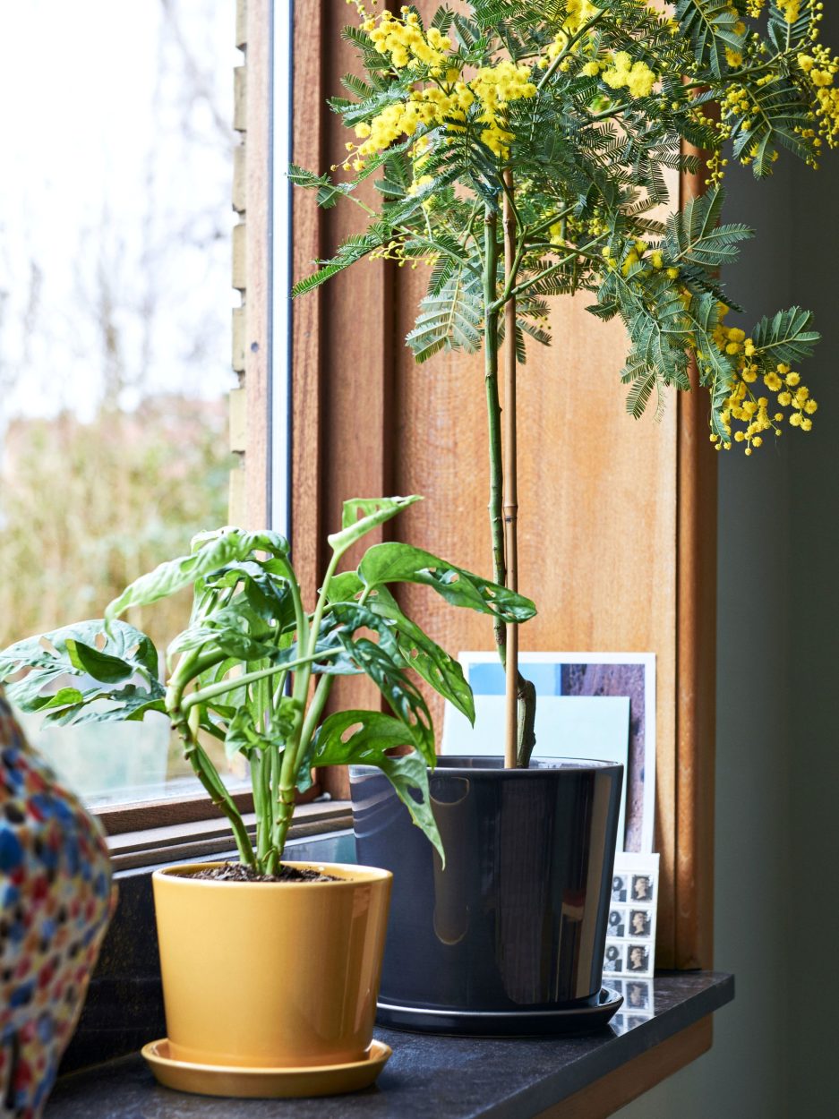 Mitmes suuruses kaunid Botanical Family lillepotid on valikus ka päikesekollasena. Tootja HAY